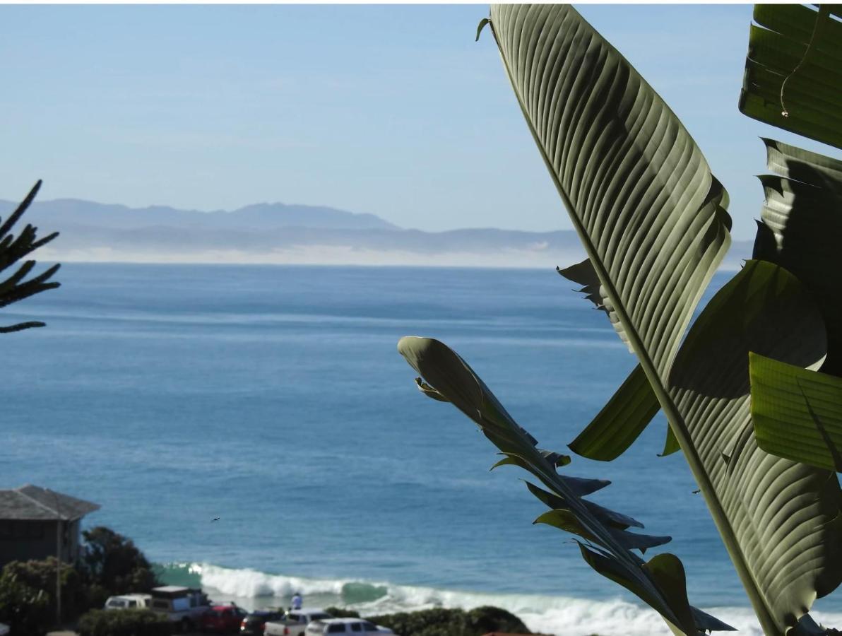 Surfstar At Mimosa Jeffreys Bay 아파트 외부 사진