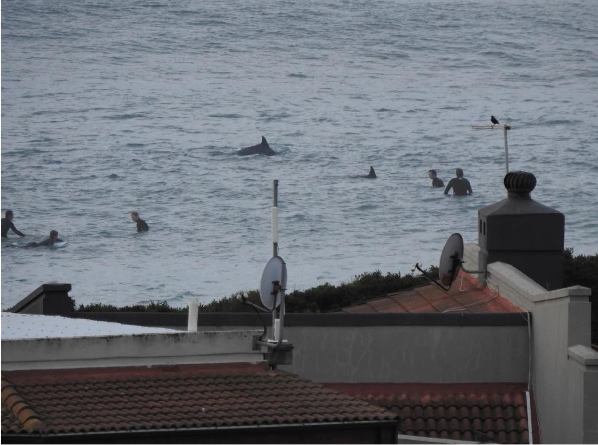 Surfstar At Mimosa Jeffreys Bay 아파트 외부 사진