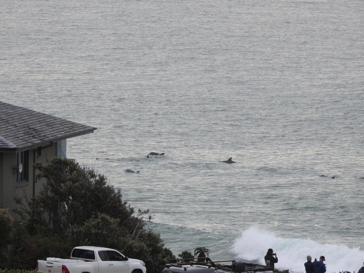 Surfstar At Mimosa Jeffreys Bay 아파트 외부 사진