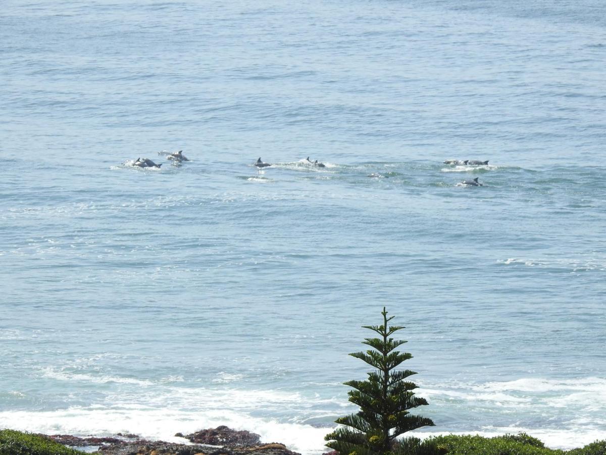 Surfstar At Mimosa Jeffreys Bay 아파트 외부 사진