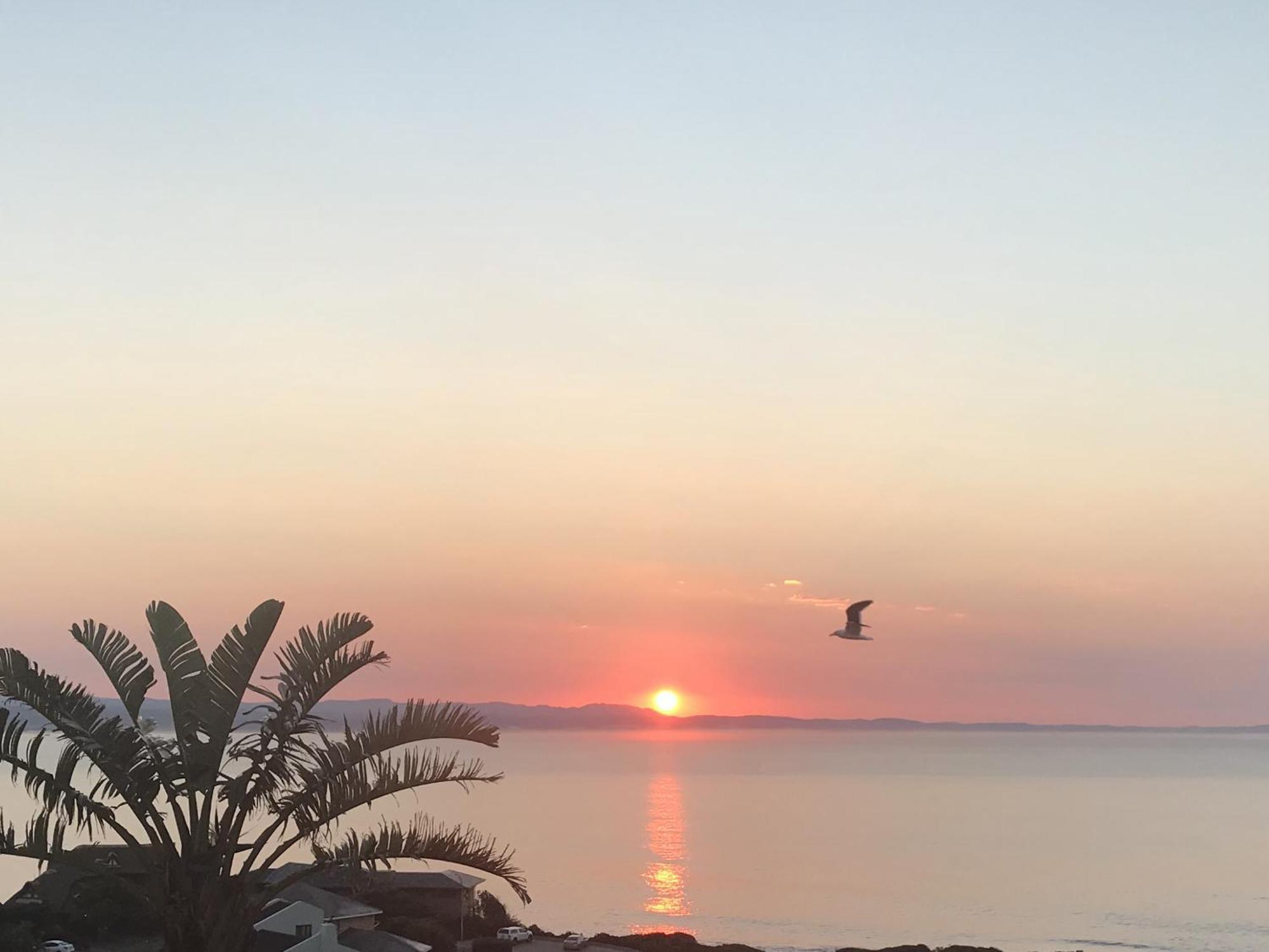 Surfstar At Mimosa Jeffreys Bay 아파트 외부 사진