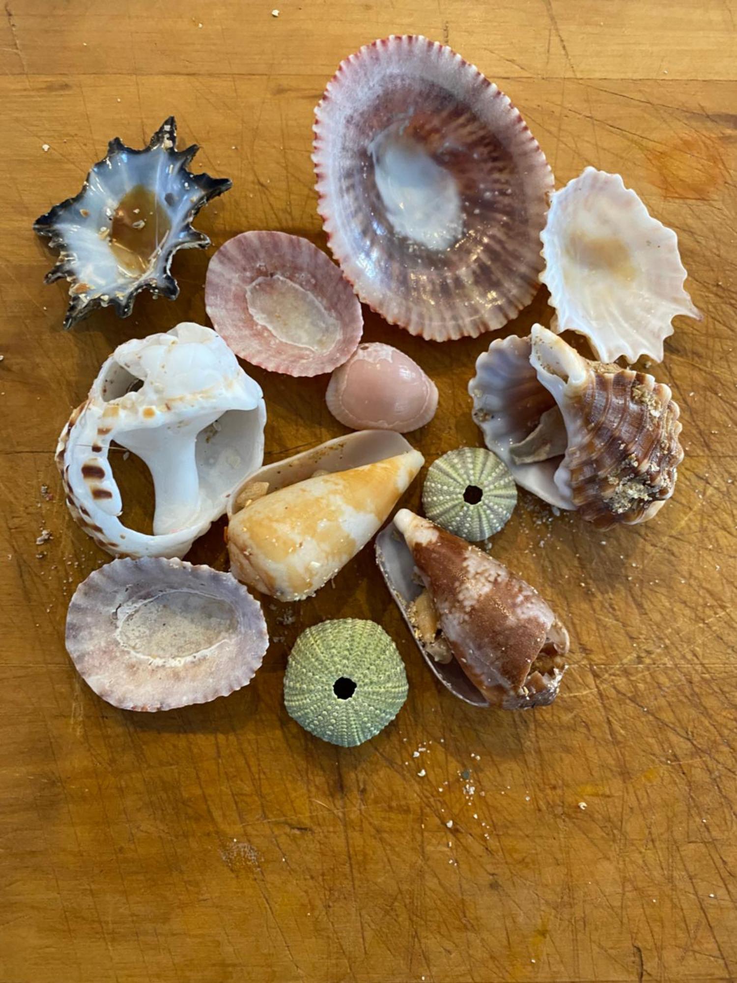 Surfstar At Mimosa Jeffreys Bay 아파트 외부 사진