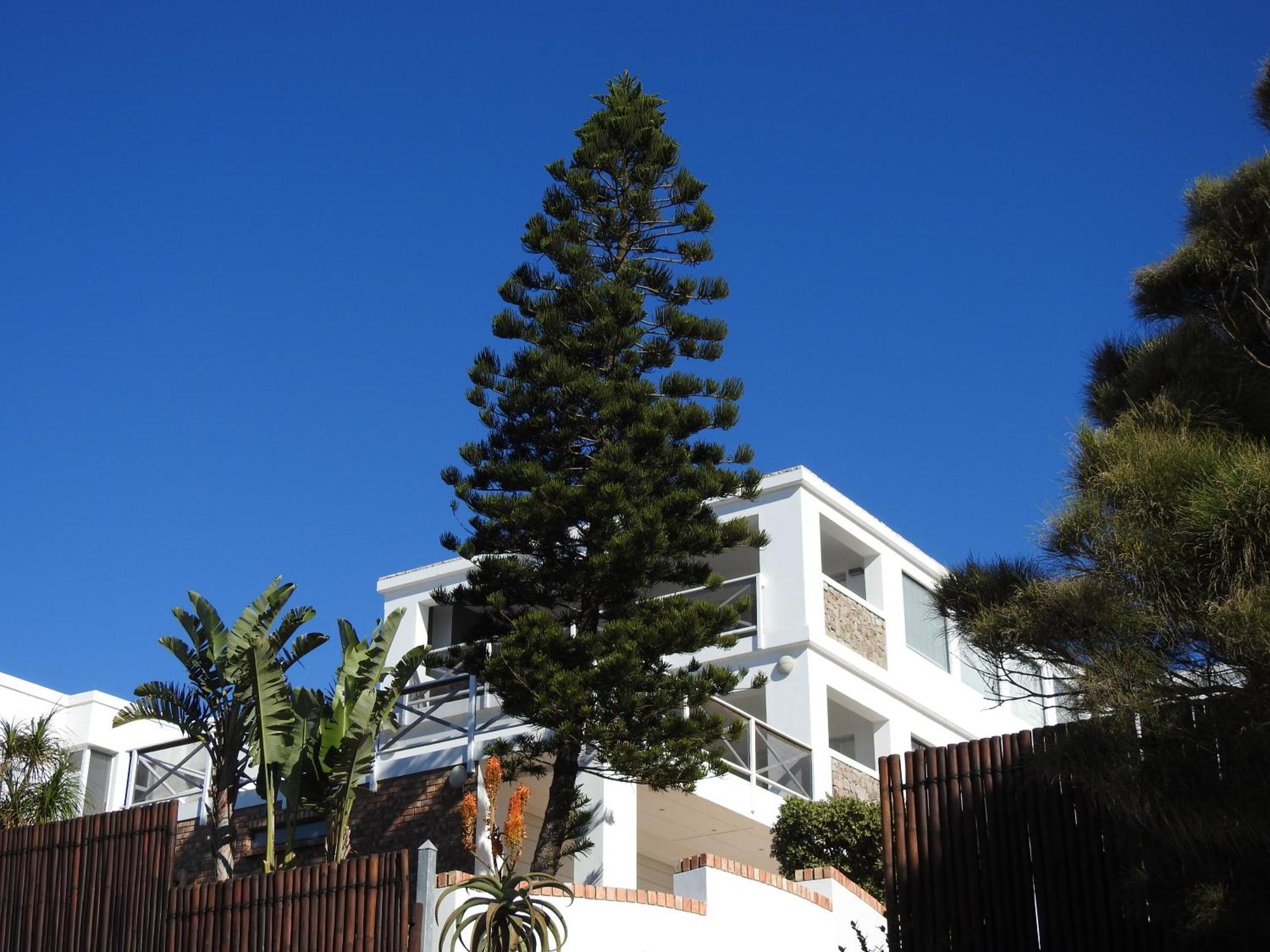 Surfstar At Mimosa Jeffreys Bay 아파트 외부 사진